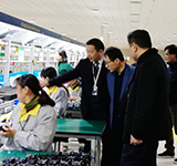 Royalstar Weekly News(26th)